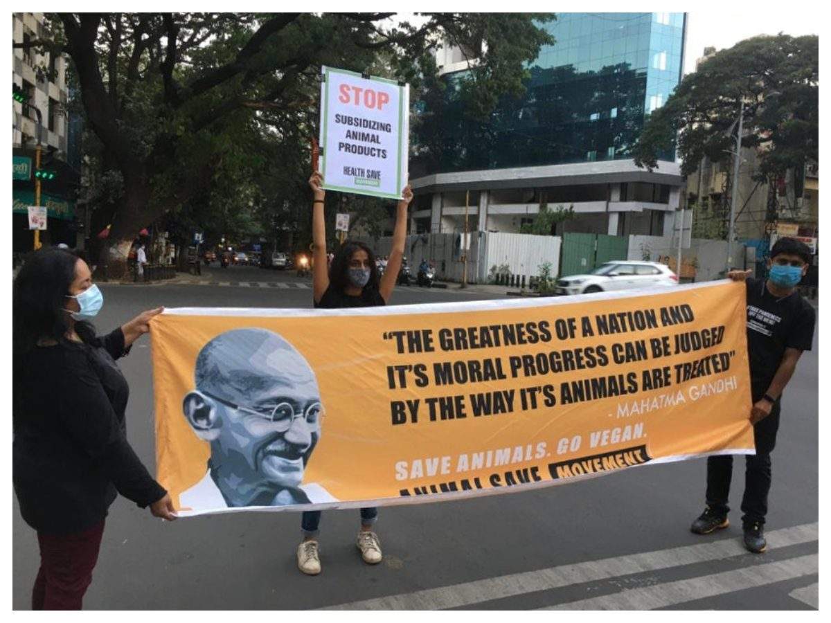 Awareness initiative about animal equality was held in the city | Events  Movie News - Times of India