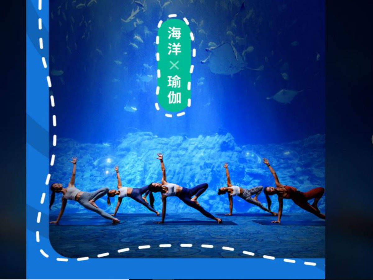 Aquarium Yoga, Hong Kong Ocean Park’s latest offerings