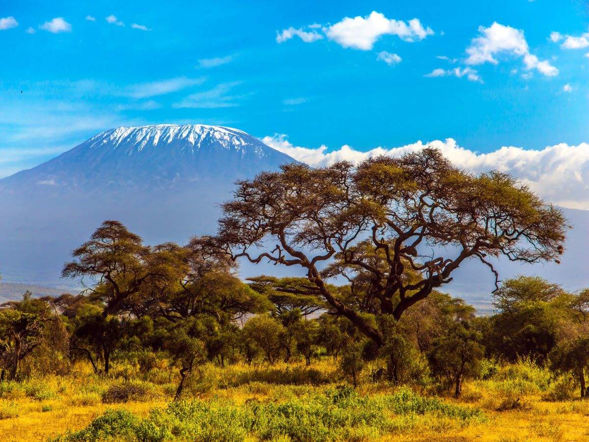 Mount Kilimanjaro, Africa’s highest mountain peak and a hikers' paradise is on fire