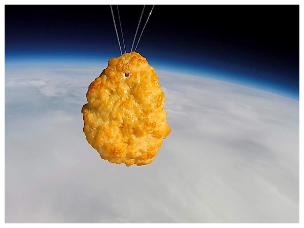 Chicken Nugget In Space British Company Launches Chicken Nugget Into Space Netizens Are Excited - chicken nugget song roblox id