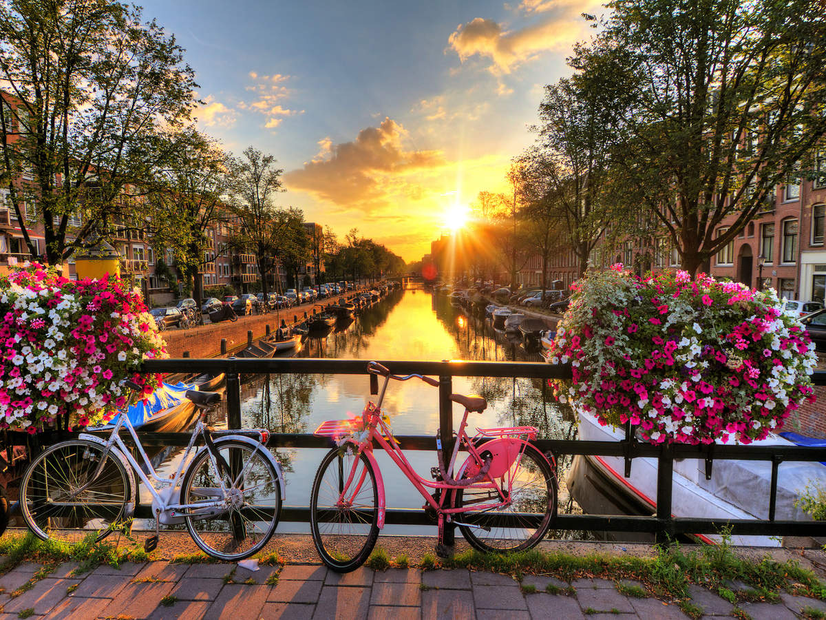 Amsterdam bridges decked with flowers and plants to prevent cyclists from doing this