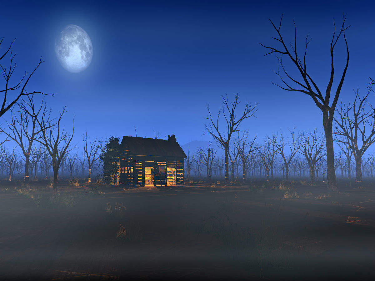Fancy a cabin in the woods? A perfectly spooky Halloween experience awaits