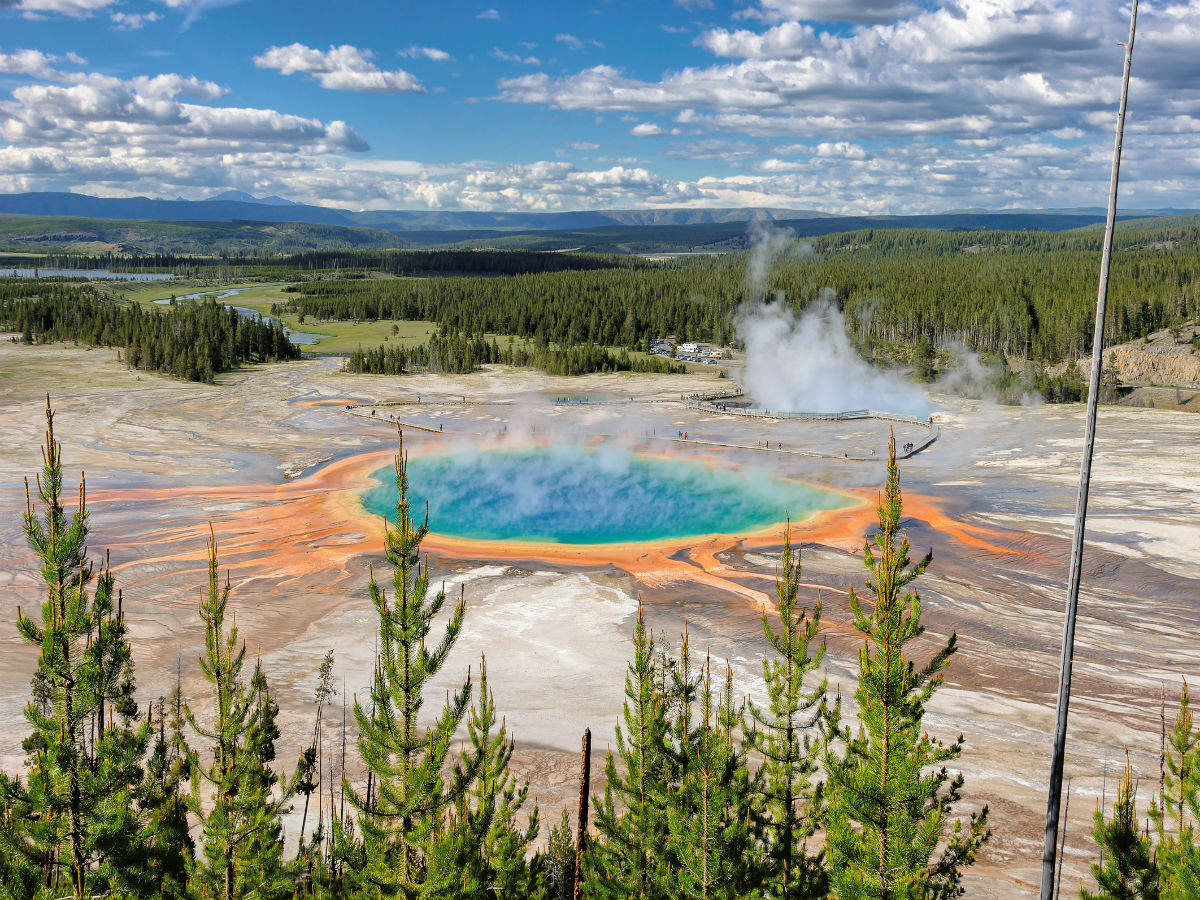 Man tries to cook chicken in Yellowstone Park’s hot spring; gets banned for 2 years!