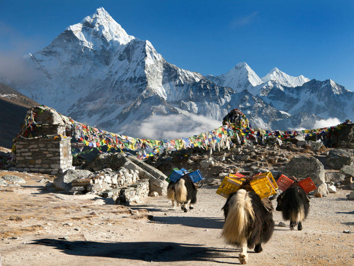 COVID-19 strikes Nepal again, leaves Mount Everest empty