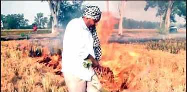 Farmers continue to burn stubble in Jalandhar