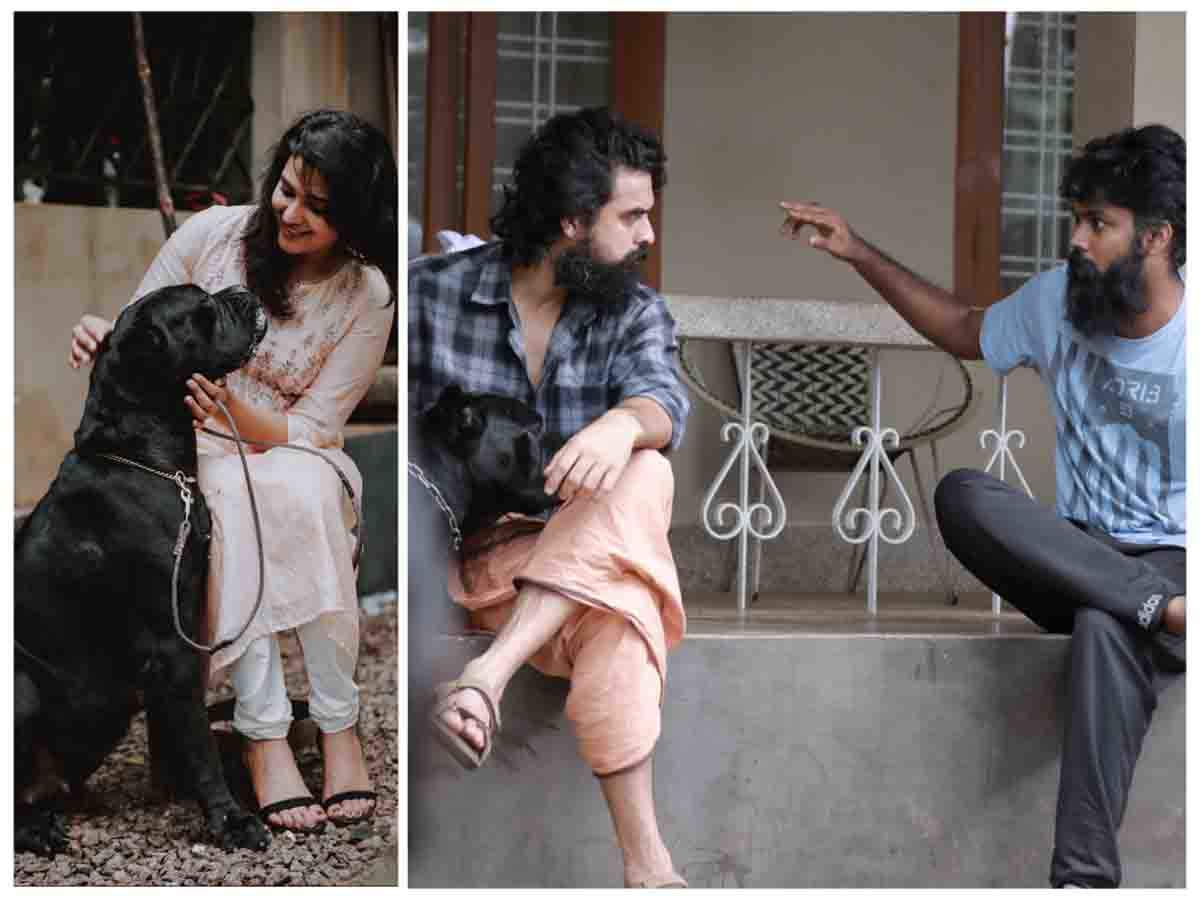 Tovino: I found it tough to carry the Cane Corso in one of the scenes |  Malayalam Movie News - Times of India