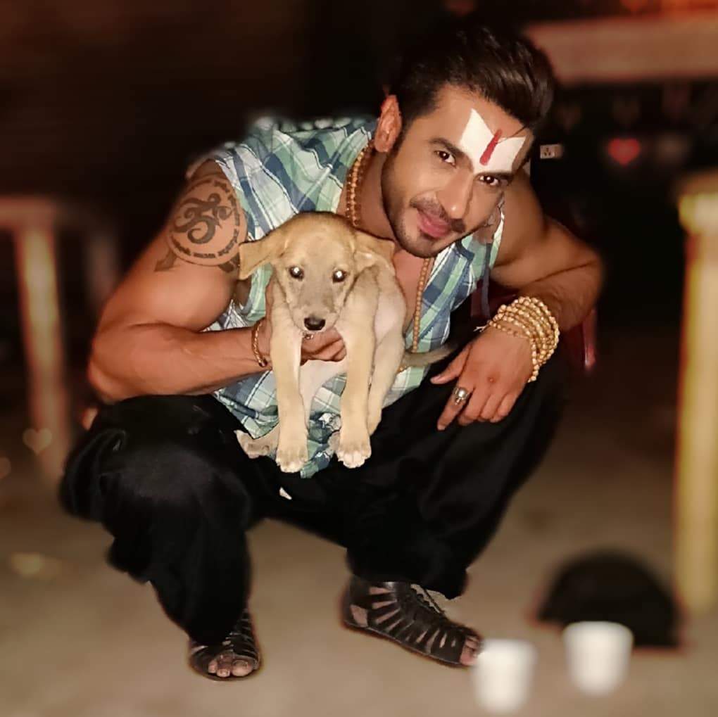 TV actor Malhar Pandya says giving a cardboard box to a stray animal can  ensure it survives the winter cold | - Times of India