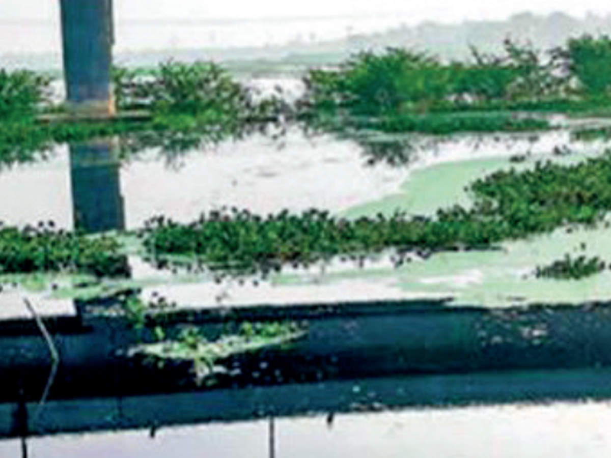 A file photo of polluted Korattur lake