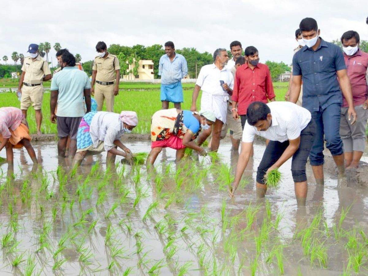 Tirupati Sp Brings Cheers On The Faces Of Depressed Farmers At Srikalahasti Vijayawada News Times Of India