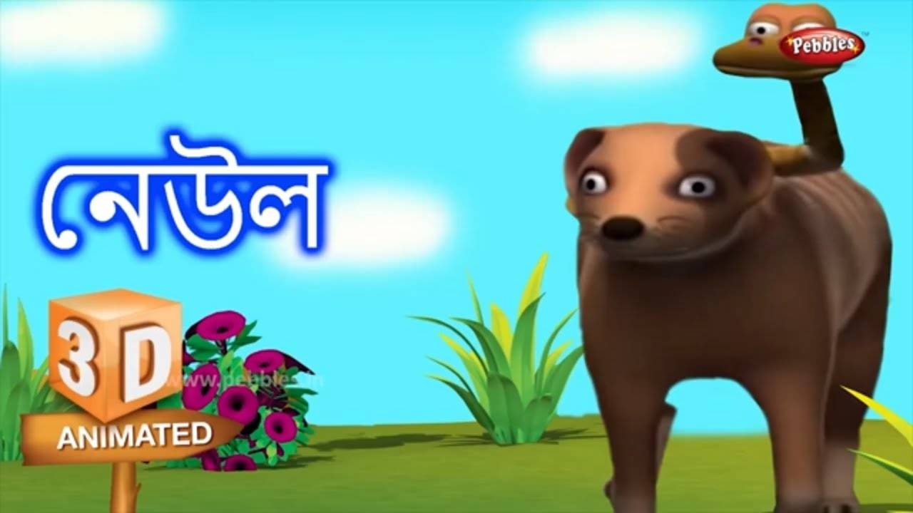 Interesting Animal Facts Learning Videos For Kids In Bengali Learn Animals Mongoose Song Story Check Out Fun Kids Nursery Rhymes And Baby Songs In Bengali Entertainment Times Of India Videos