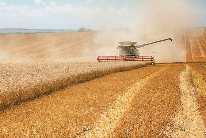 BITTER HARVESTS: Industrial agriculture requiring massive chemical inputs and constant land use for monoculture severely denudes land quality. Photo: iStock