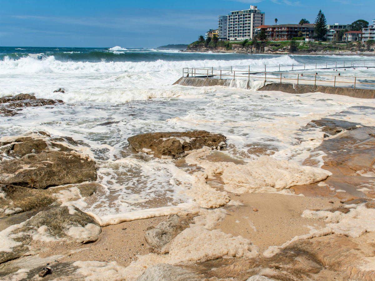 In another bizarre 2020 twist, Australia's foam-filled beaches get snake infested
