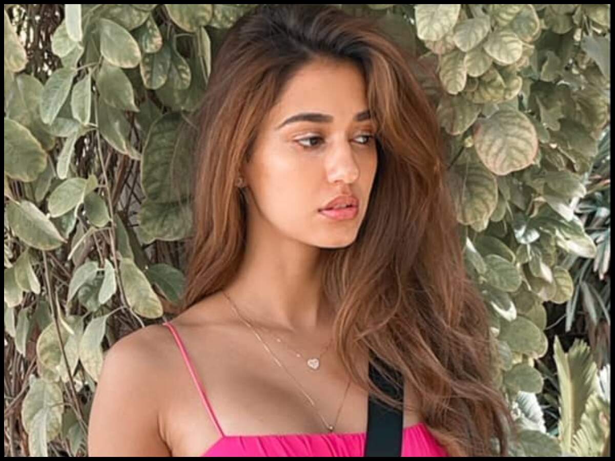 disha patani beautiful dresses