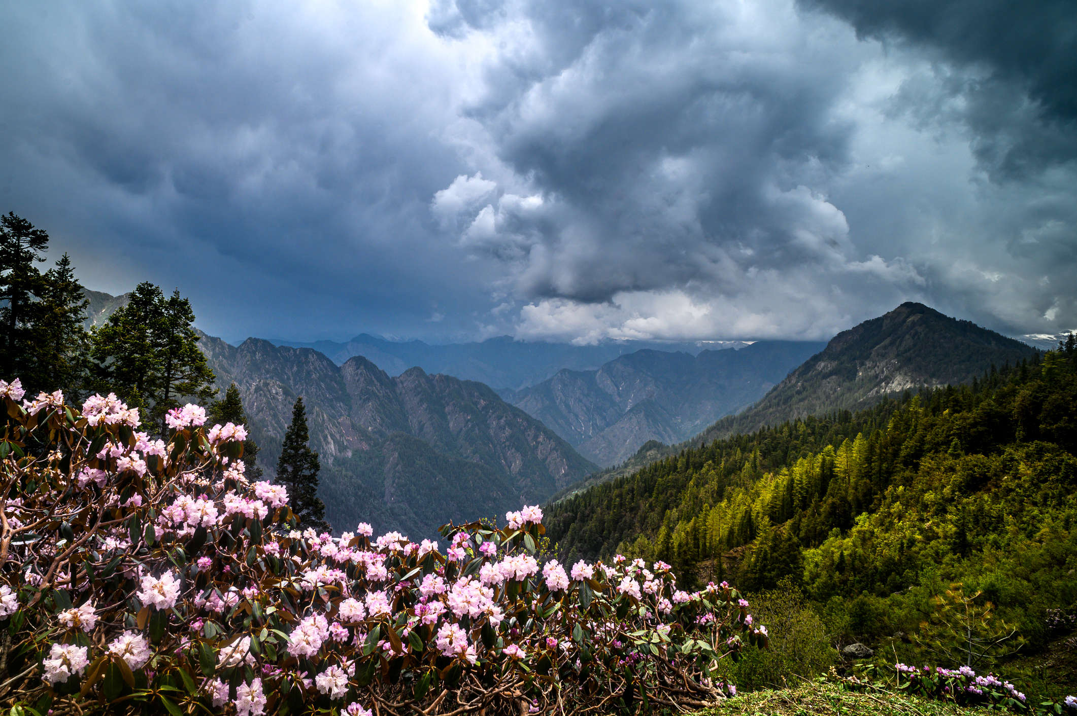 A guide to escaping to Kasol from Delhi