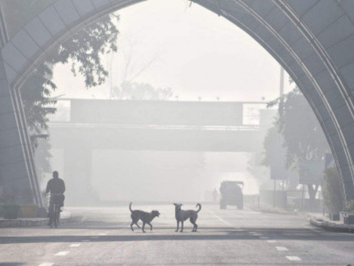 Air quality recorded as 'severe' in Noida, Ghaziabad and Faridabad. (File photo)