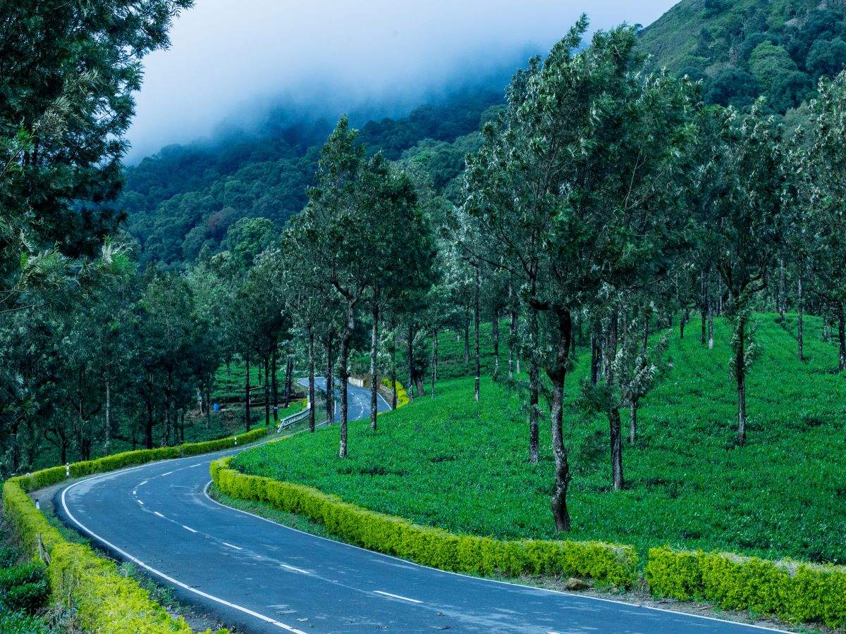 Best road trips to explore the Western Ghats