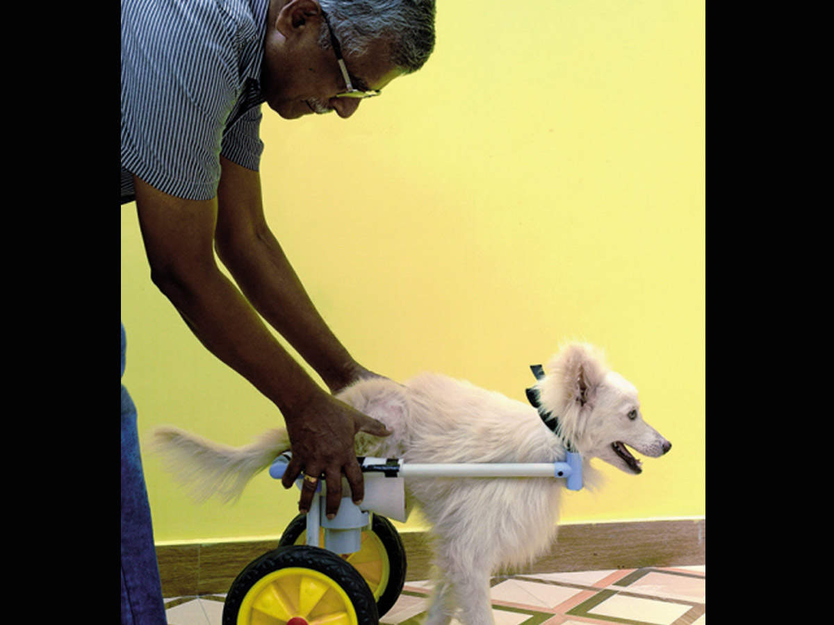 Gayatri and her father Kasilingam made a wheelchair for their pet Veera