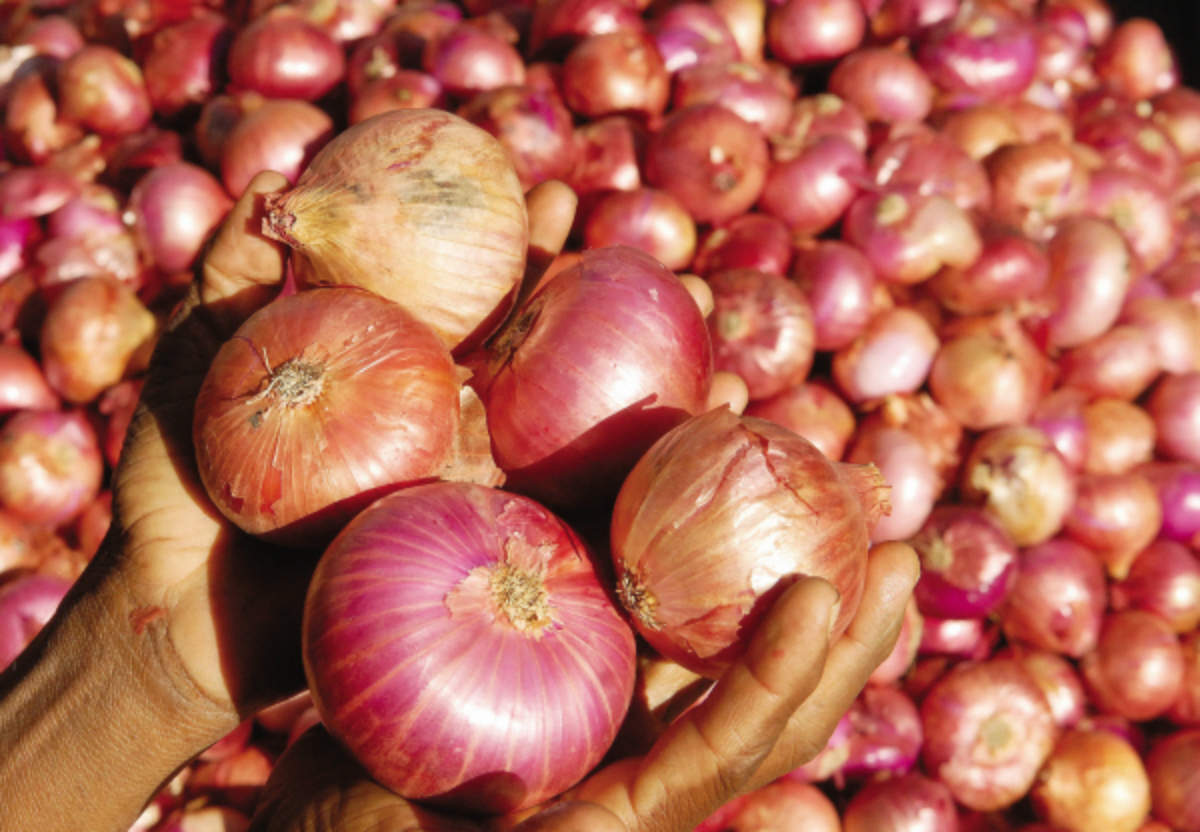 Farmers suffered heavy losses as the average wholesale onion price crashed by almost Rs 2,500 per quintal after the export ban