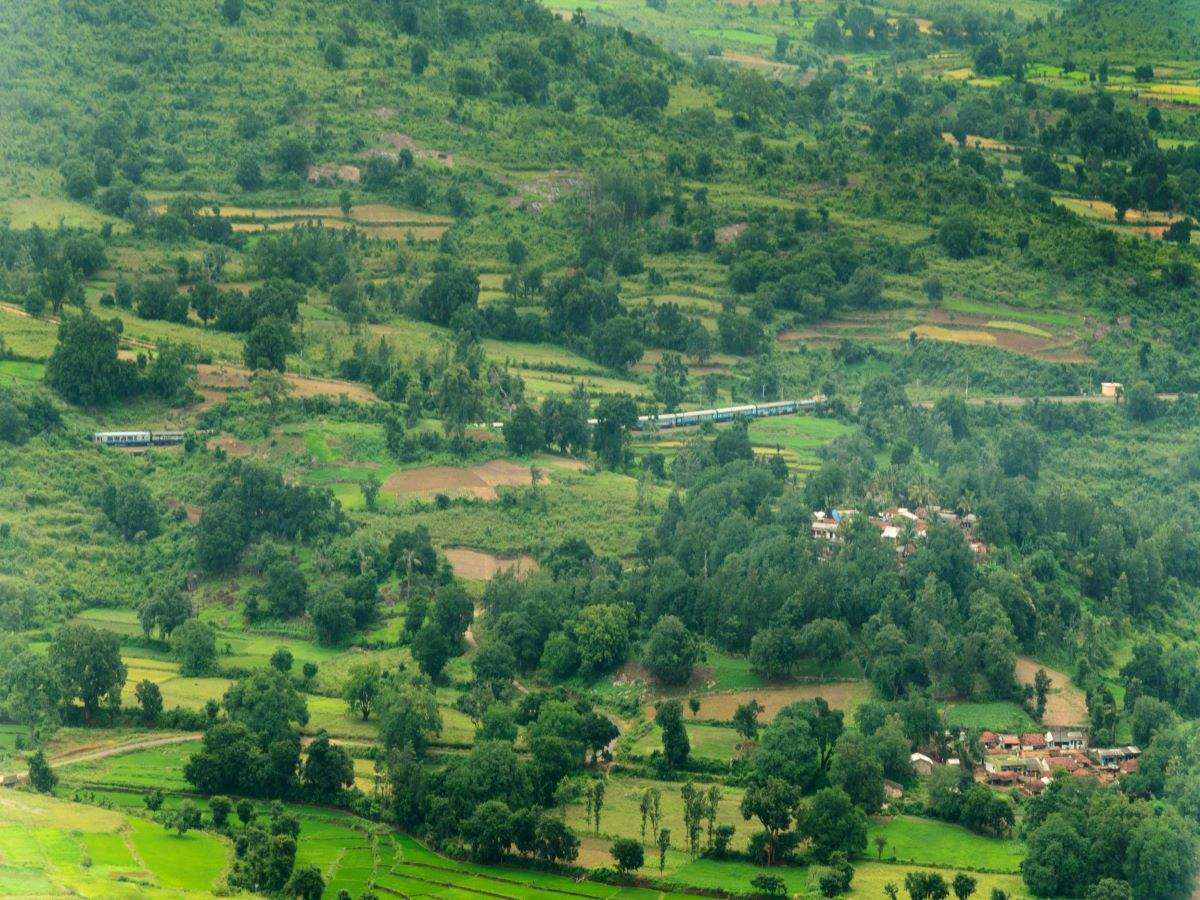 Andhra Pradesh: Vistadome coach train to Araku resumes operation