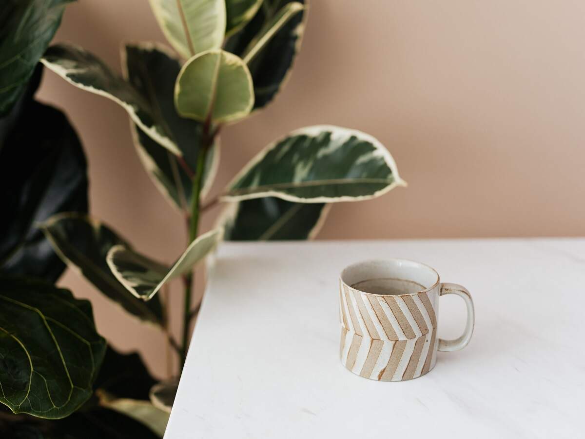 saffola green coffee for weight loss