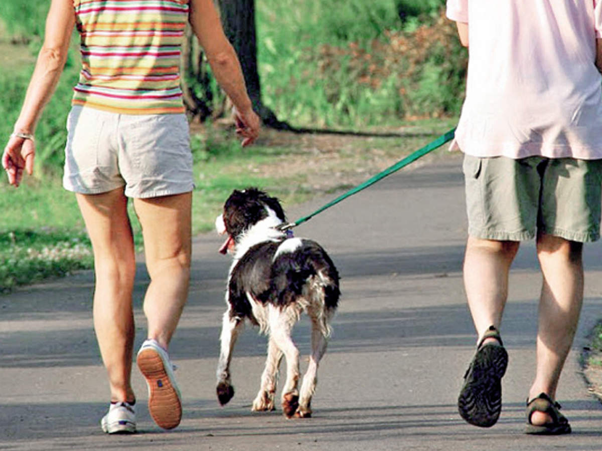 how to get dog poop off running shoes