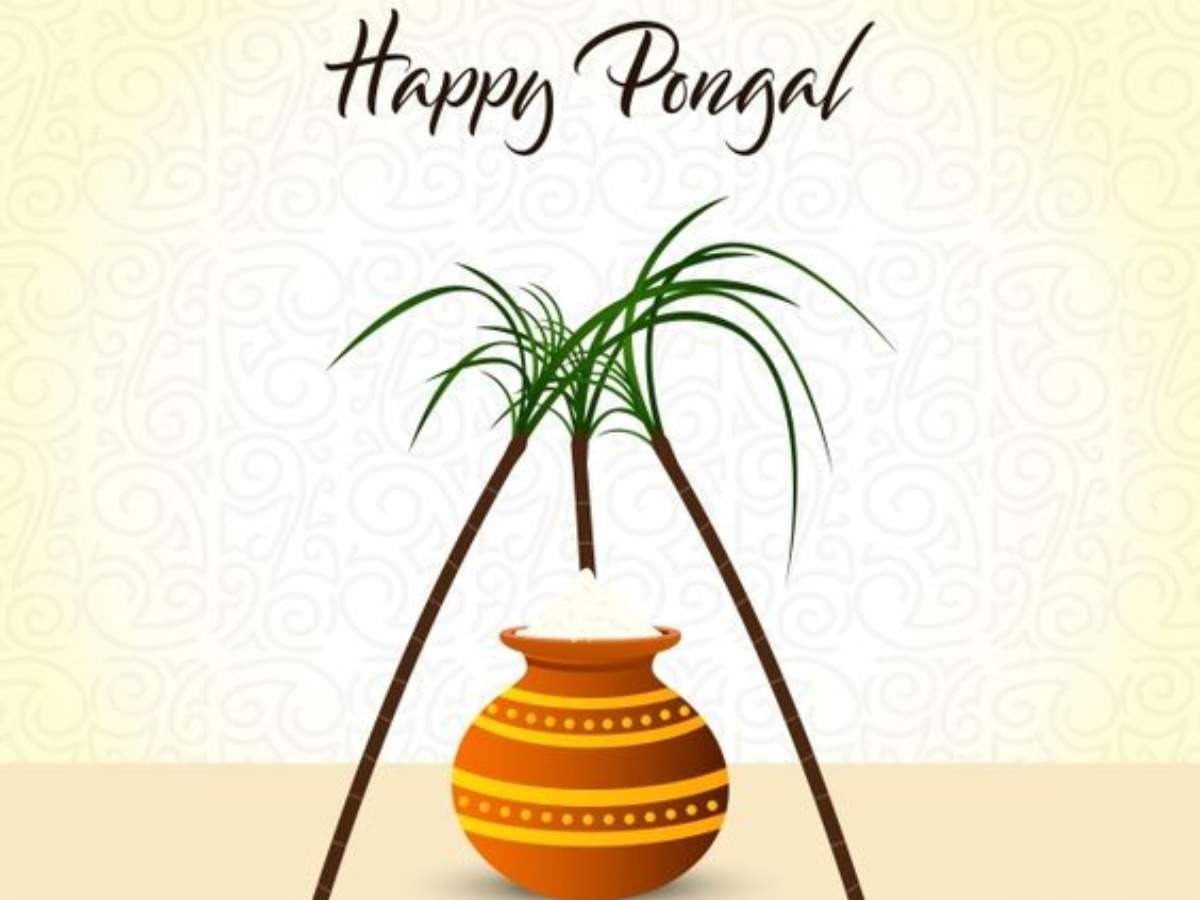 Happy Pongal 2023: Quotes, Wishes, Messages, Images, Cards, Greetings and  GIFs - Times of India