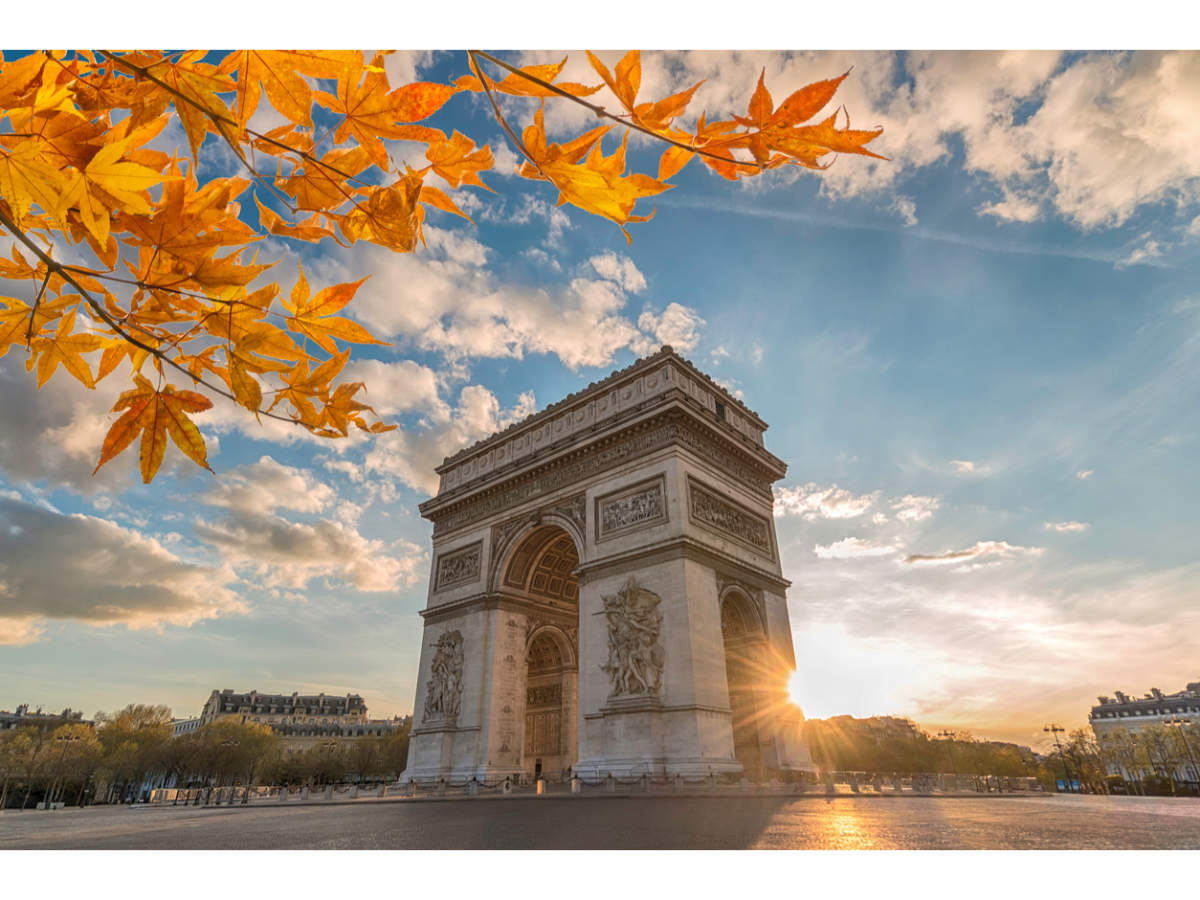 Paris' Champs-Élysées to turn into a stunning urban garden