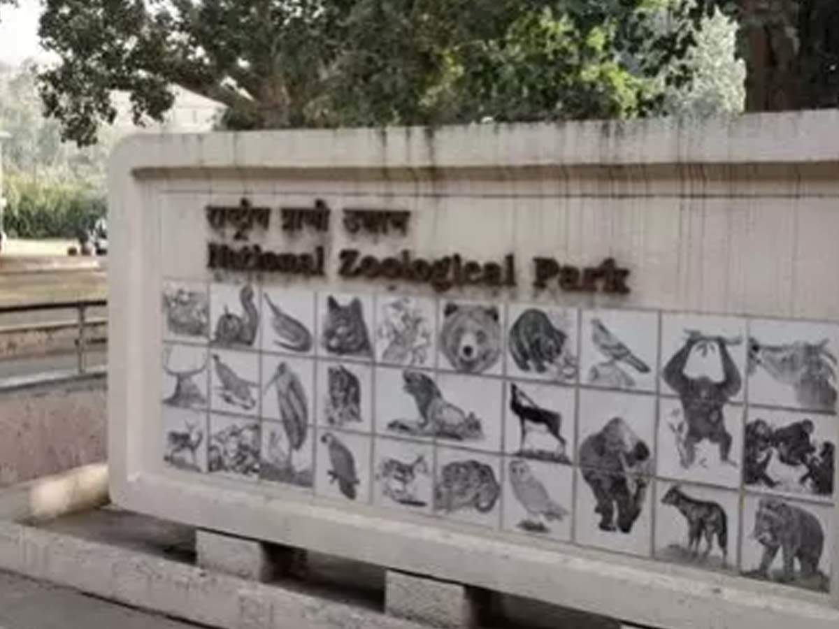 144 animals died of shock at Delhi zoo in three years' | Delhi News - Times  of India