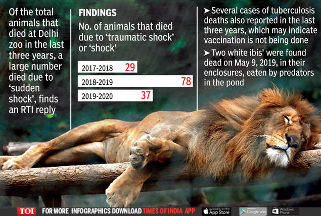 144 animals died of shock at Delhi zoo in three years' | Delhi News - Times  of India