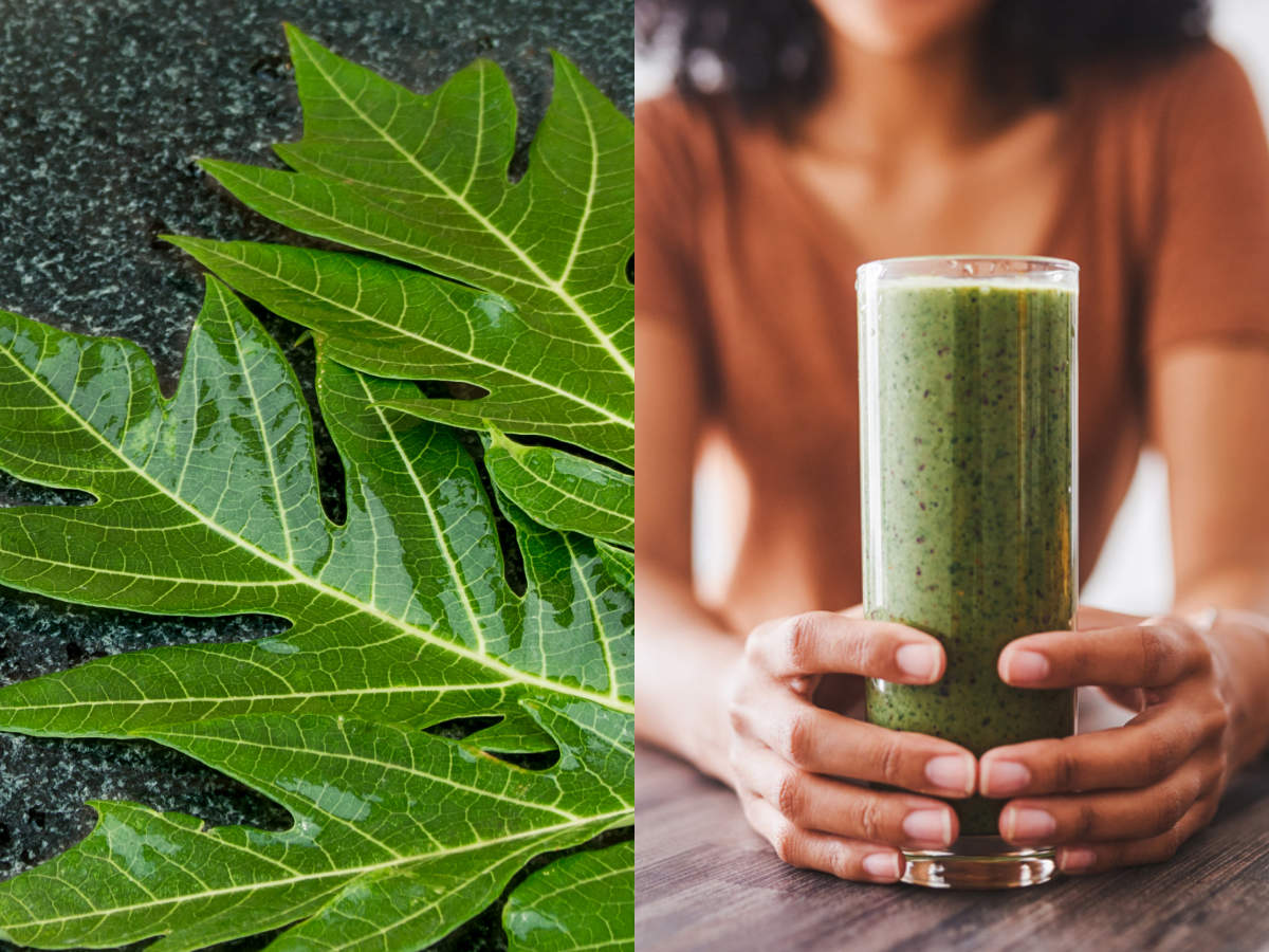 Papaya leaf juice: Health benefits, how to make and the right way to  consume - Times of India