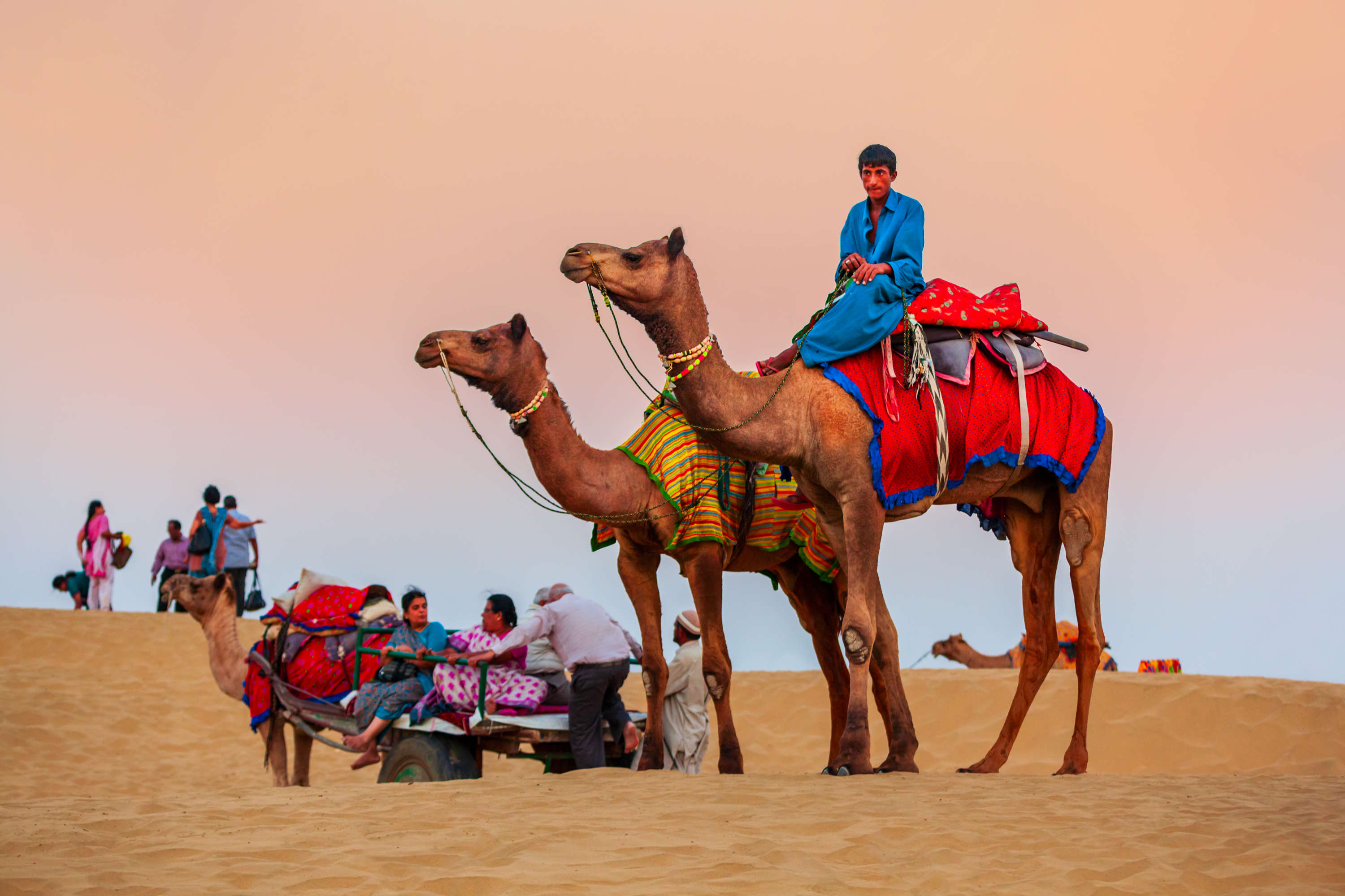 Planning a camel safari in the Thar Desert? Here’s what to know