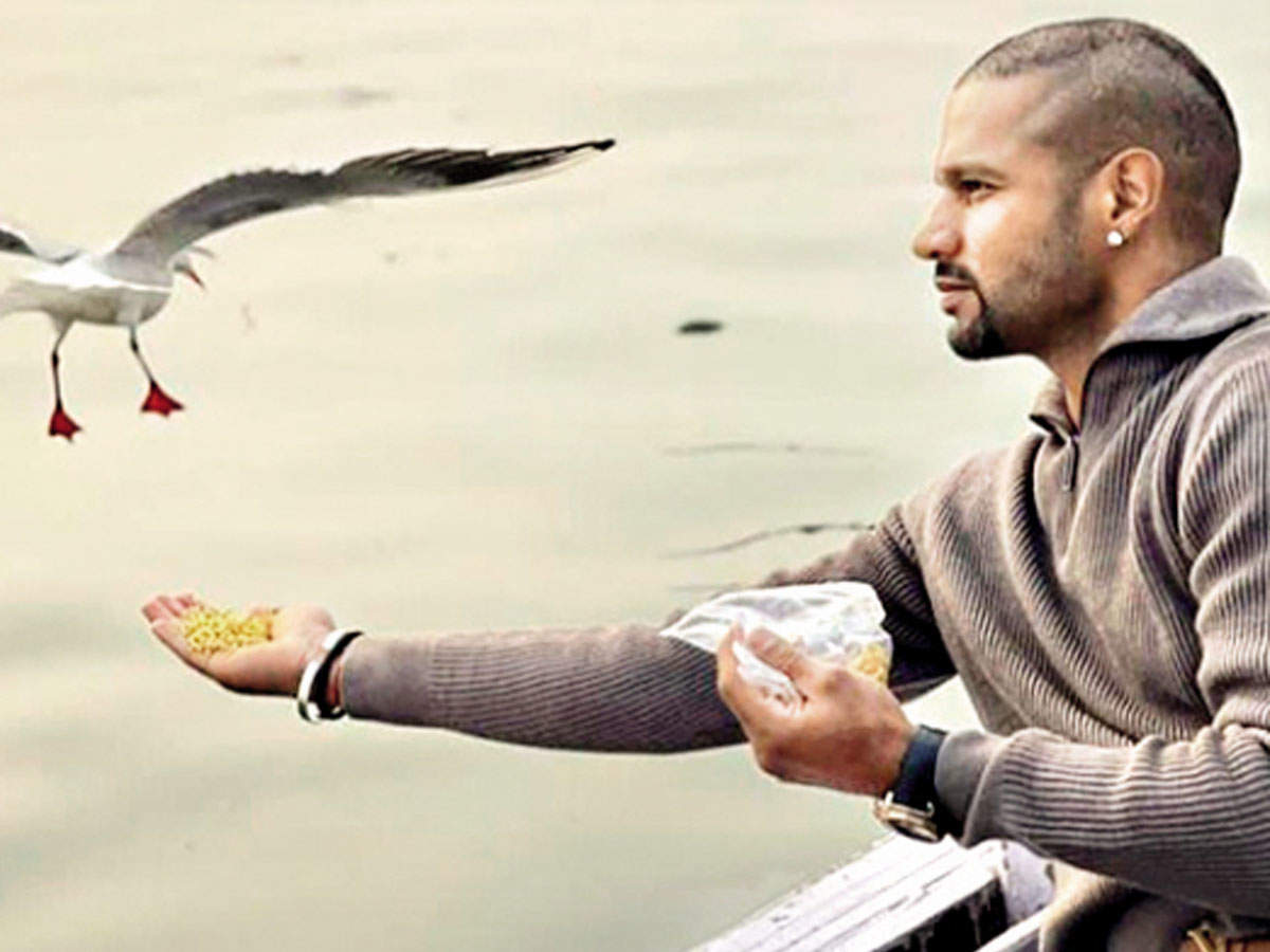 Dhawan had uploaded pictures of him feeding birds on Instagarm