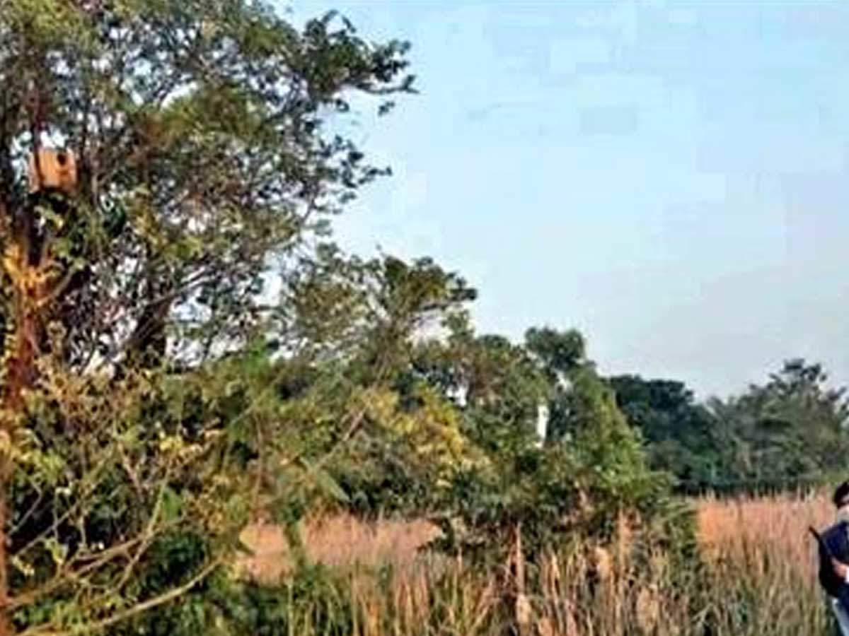 Hidco will finalise a list of trees for plantation in New Town