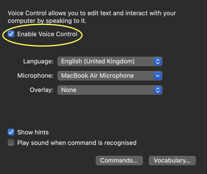 speak to text on macbook