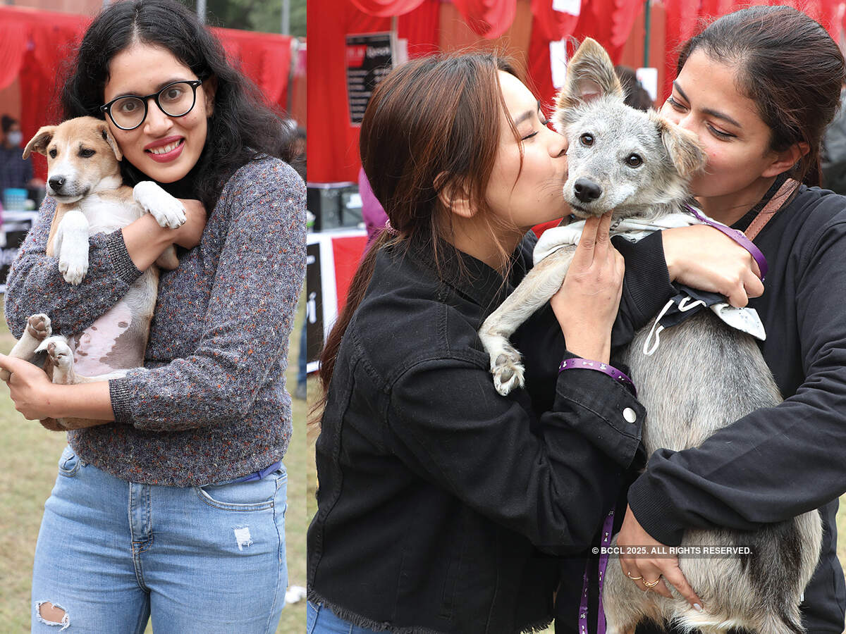 All for the love & care of animals | Events Movie News - Times of India All for the love & care of animals | Events Movie News - Times of India