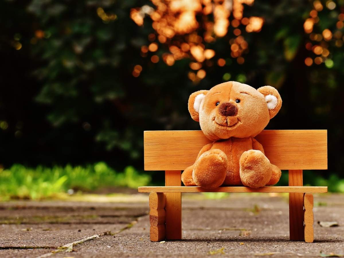 Happy Teddy Day 2021: Wishes, Messages, Quotes, Images, Facebook & WhatsApp  Status - Times of India
