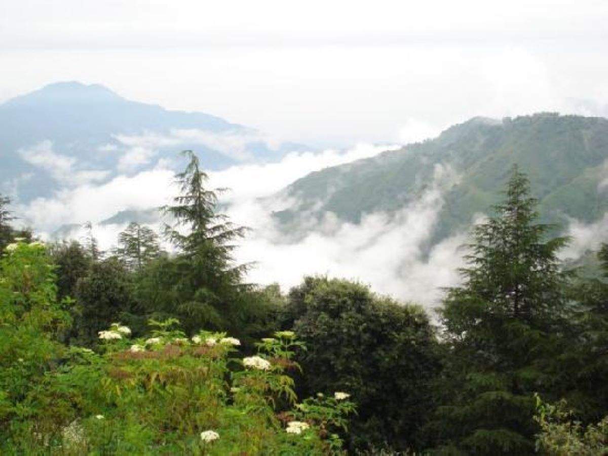 Chail—the less-explored Himalayan paradise