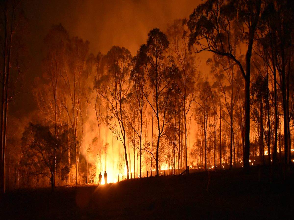 Odisha: Similipal Tiger Reserve burning for more than a week now