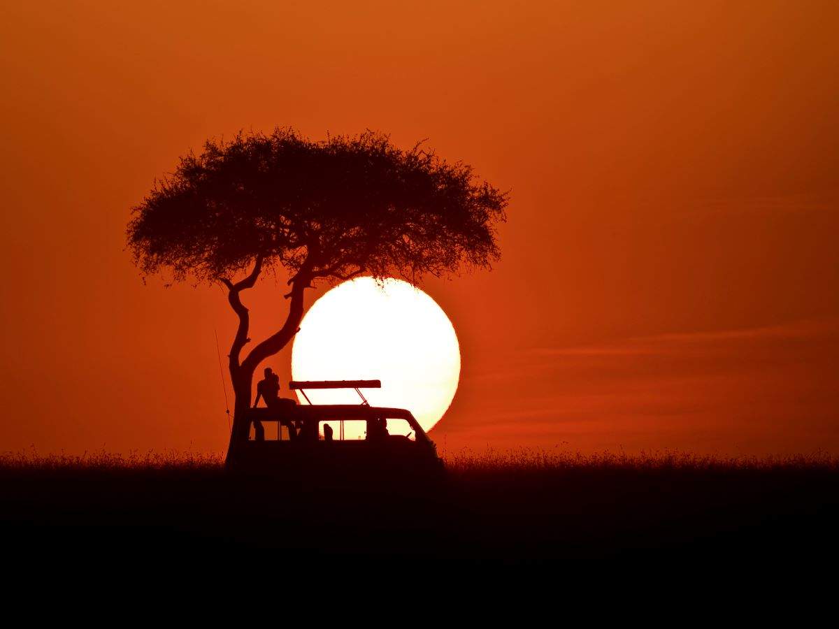 MP: You will now be able to enjoy night safaris in 3 national parks