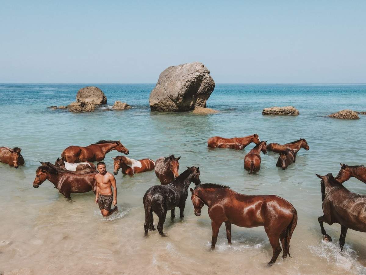 You can enjoy Yoga with horses at this famous Indonesian hotel