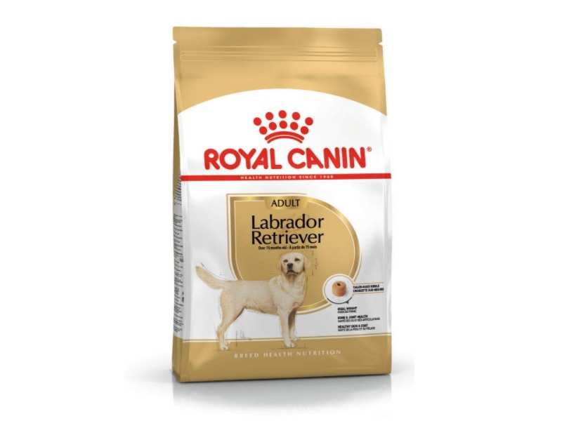 Dog Food For Labradors Keep Your Pet Labradors Healthy Active Most Searched Products Times Of India