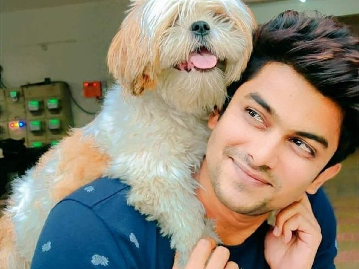 VJ Sunny confirms quitting Kalyana Vaibhogam; here's what the actor has to  say about his sudden exit - Times of India