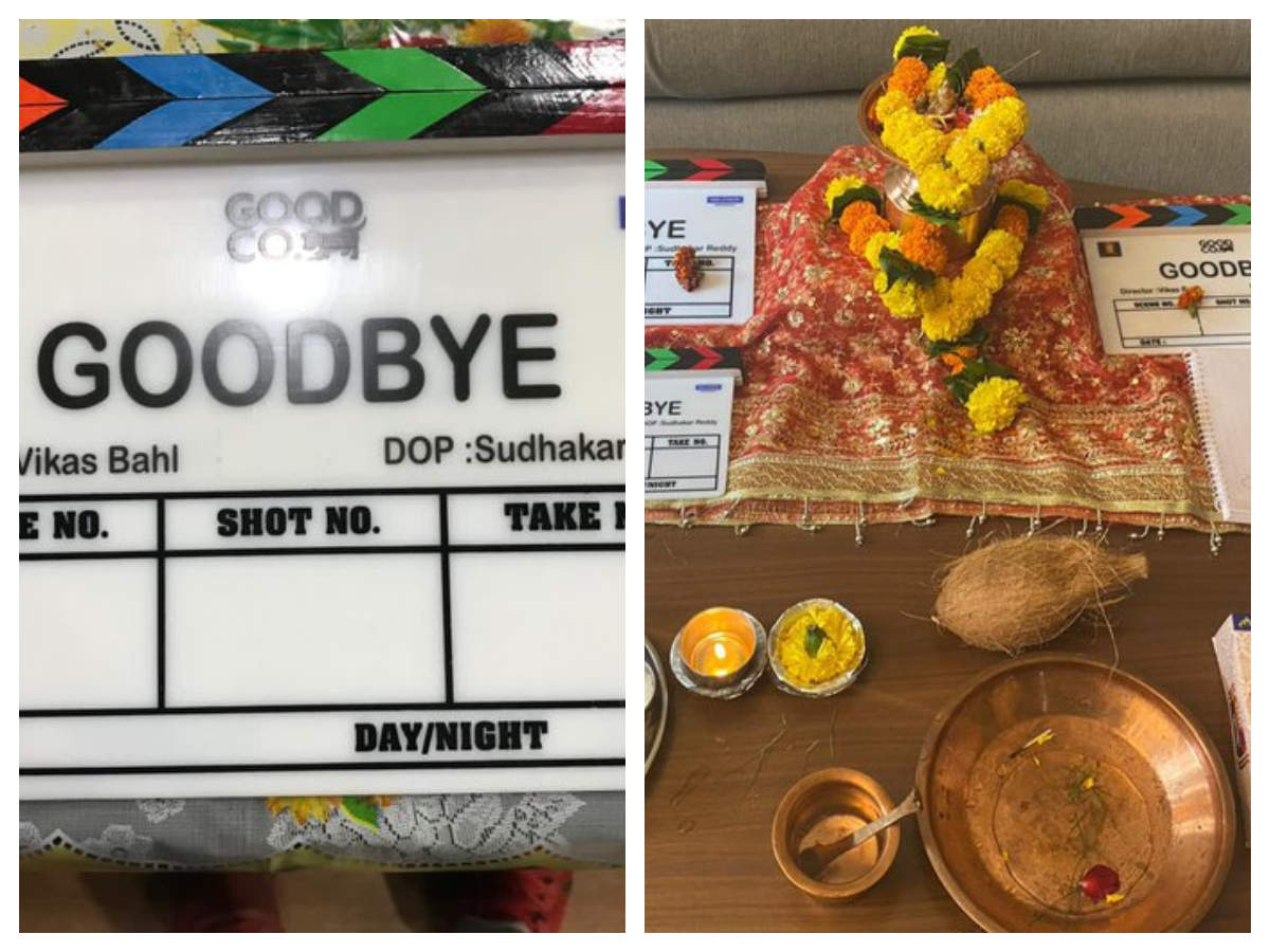 Goodbye': Amitabh Bachchan and Rashmika Mandana kick-start shooting for the  film | Hindi Movie News - Times of India