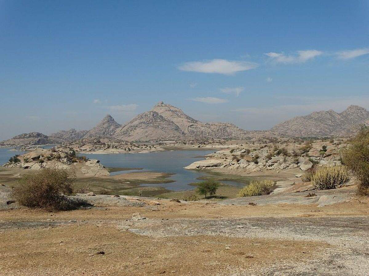 About Jawai Bandh in Rajasthan where leopards do not harm the unguarded locals