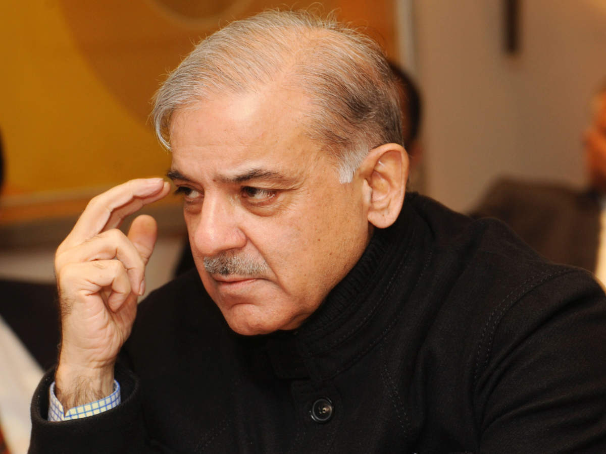 PML-N chief and opposition leader Shehbaz Sharif (File photo)
