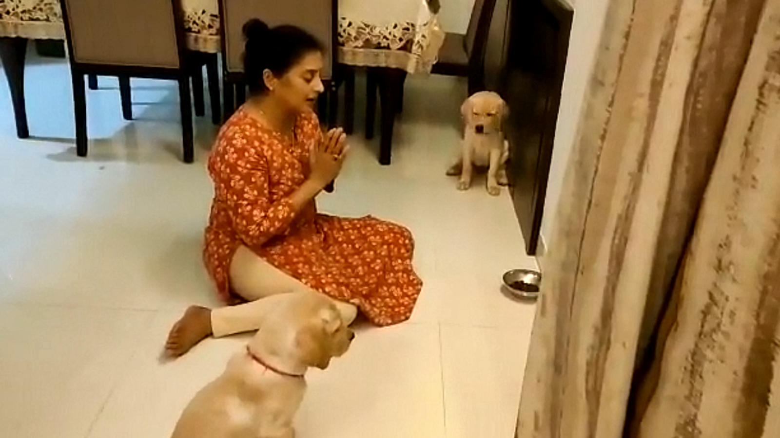 Viral video: Woman teaches dogs to pray before eating