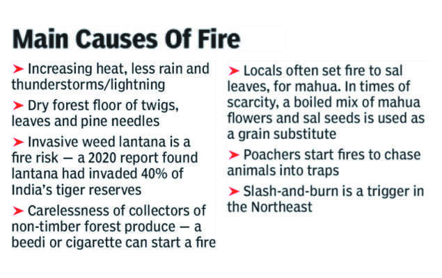 forest fire causes