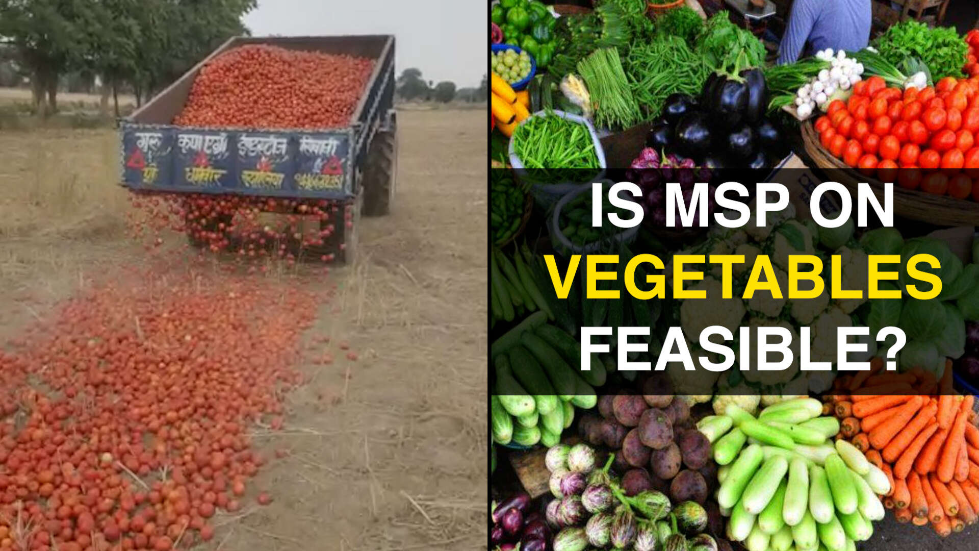 Crisis in Indian agriculture explained: Why farmers are destroying their  tomato crop | In-depth - Times of India Videos