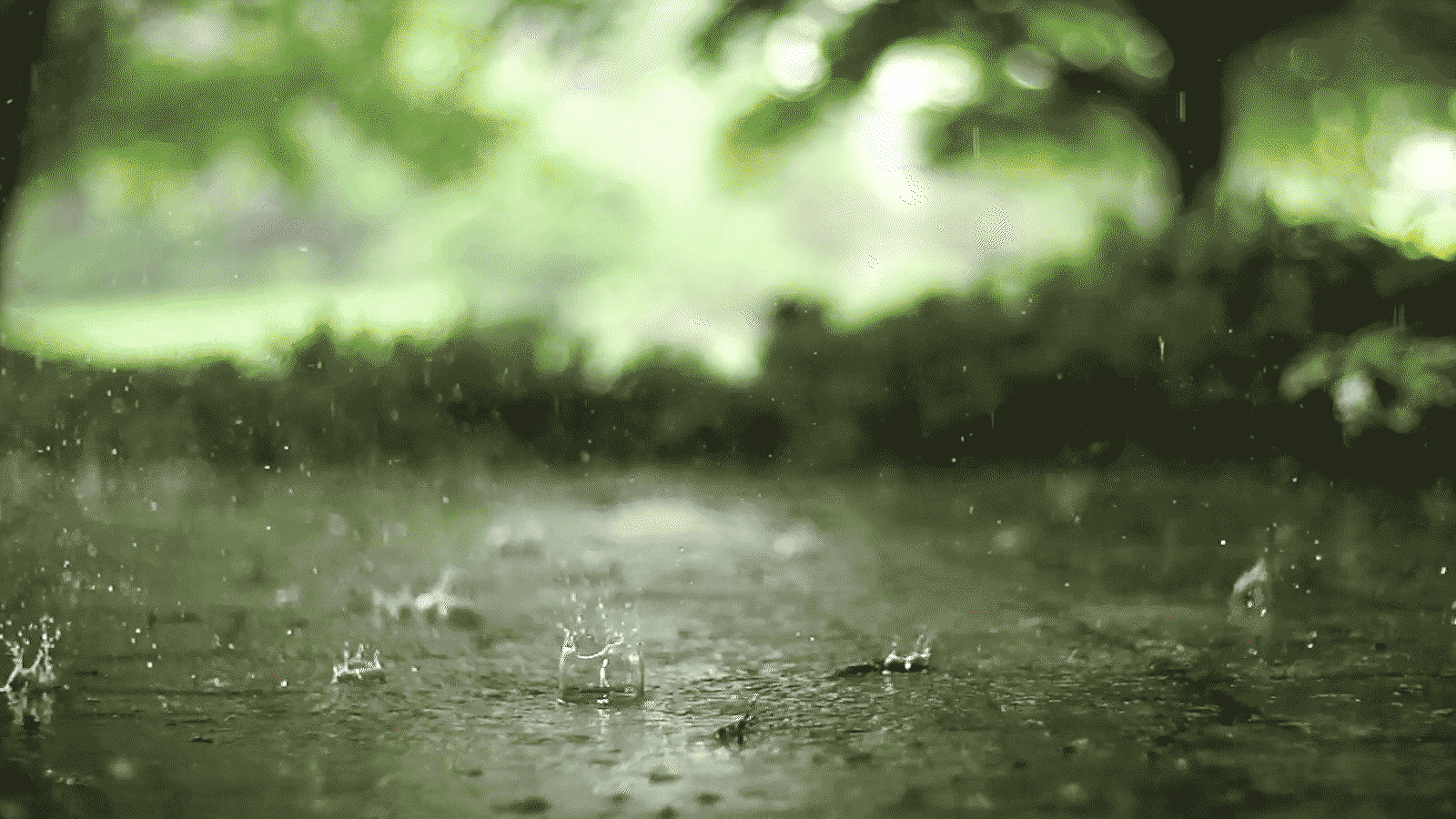 How Kerala keeps its date with the monsoon | India News - Times of India