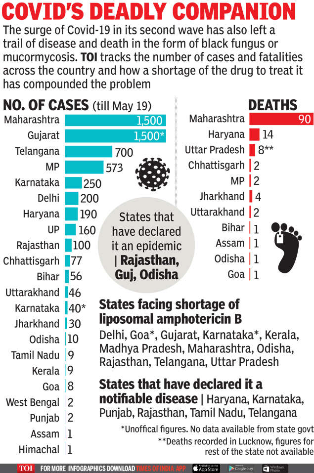 Black Fungus Infection Stalks States 5 500 Cases 126 Lives Lost India News Times Of India